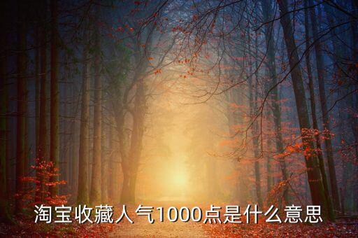 1000點(diǎn)2000點(diǎn)什么意思，加拿大簽證中1000 2000什么意思