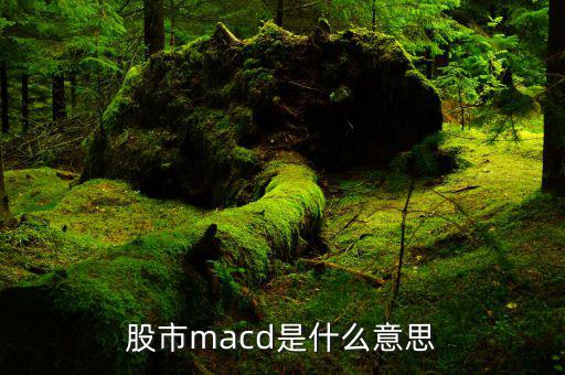 macd是什么意思，macd的含義是什么要簡單明了