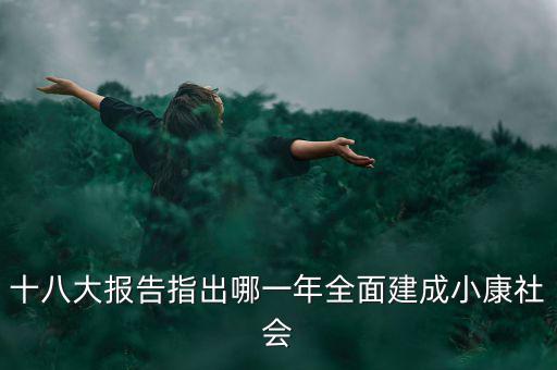 十八大報(bào)告指出哪一年全面建成小康社會(huì)