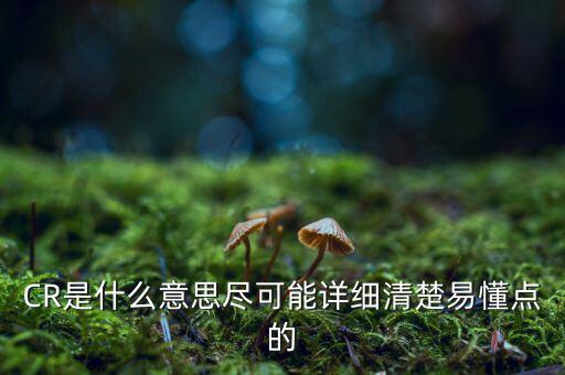 CR是什么意思盡可能詳細(xì)清楚易懂點的