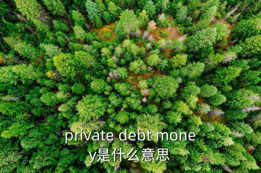 私人配售什么意思，private debt placement是什么意思啊