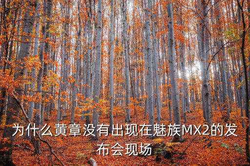 為什么黃章沒有出現(xiàn)在魅族MX2的發(fā)布會(huì)現(xiàn)場(chǎng)