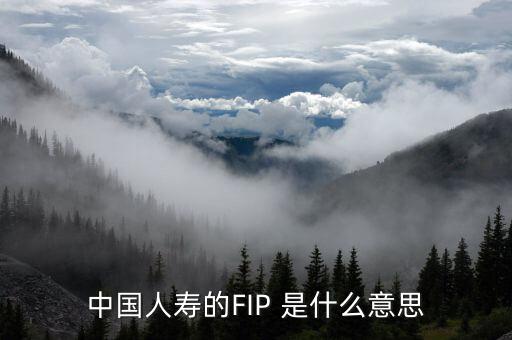 中國(guó)人壽的FIP 是什么意思