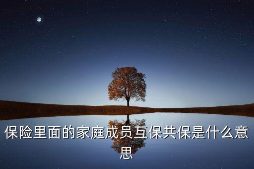 什么是共同被保險(xiǎn)人，保險(xiǎn)里面的家庭成員互保共保是什么意思