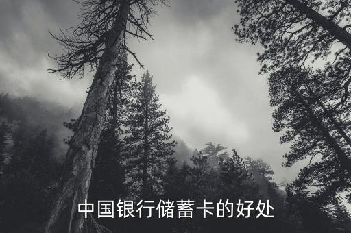 中國銀行存蓄卡有什么好處，中國銀行儲(chǔ)蓄卡的好處