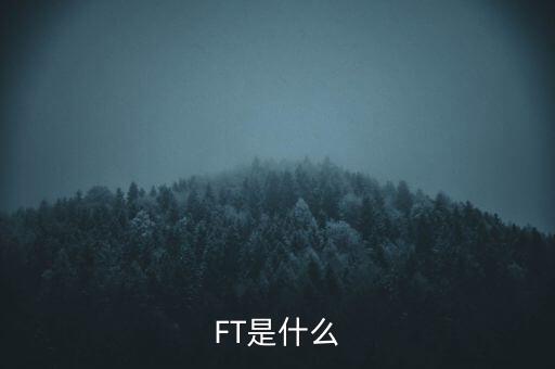 什么是FT調(diào)查，F(xiàn)T是什么