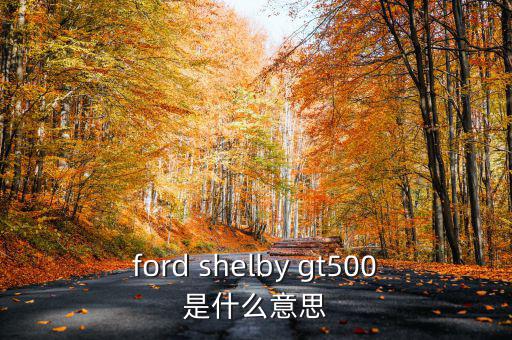 東盟油500是什么，ford shelby gt500是什么意思