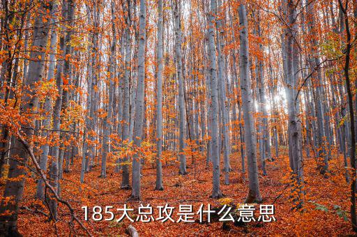 185大總攻是什么意思