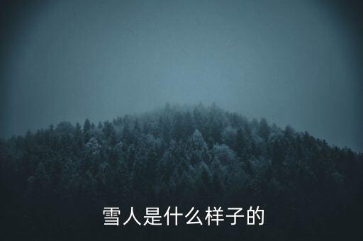  雪人是什么樣子的