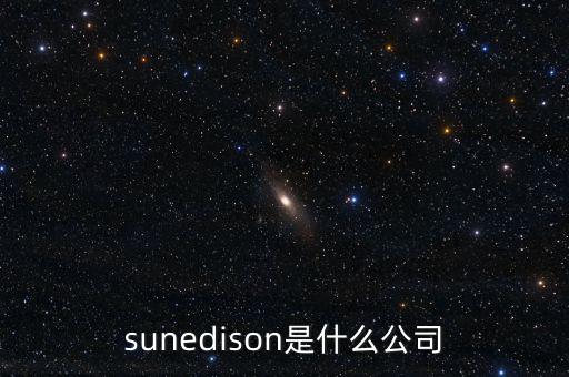 sunedison是什么公司