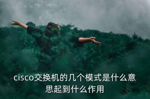 tmt究竟是什么模式，請問TMT是什么意思