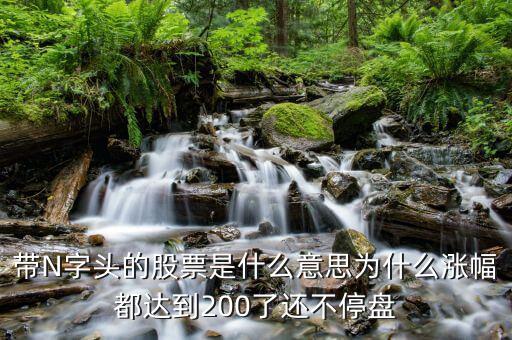 帶N字頭的股票是什么意思為什么漲幅都達到200了還不停盤