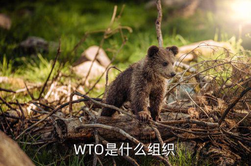 ypg是什么組織，橘子是由哪些組織構(gòu)成的