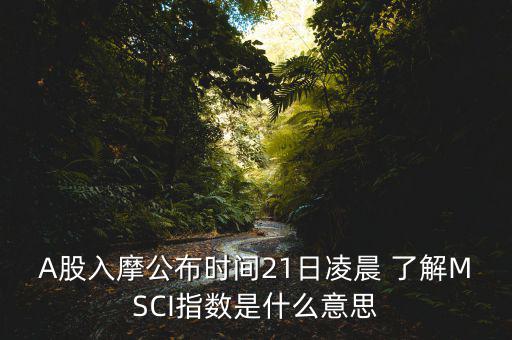 A股入摩公布時間21日凌晨 了解MSCI指數(shù)是什么意思