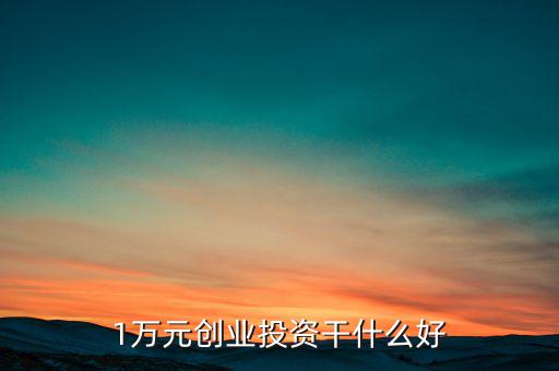 1萬元?jiǎng)?chuàng)業(yè)投資干什么好