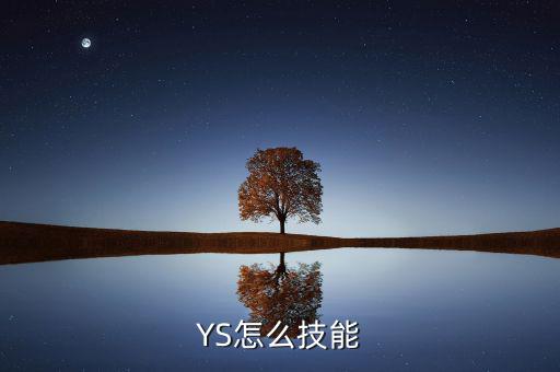 YS怎么技能