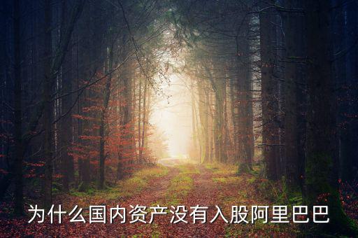 當(dāng)初為什么沒投阿里巴巴，為什么國內(nèi)資產(chǎn)沒有入股阿里巴巴