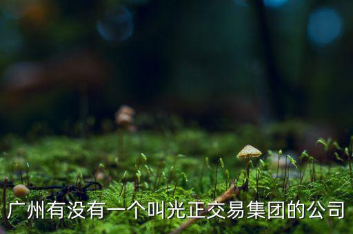 光正集團股票公司主要生產(chǎn)什么，光正集團股票是做什么板塊的