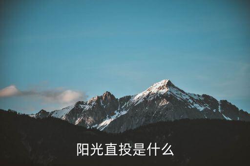 陽光直投是什么