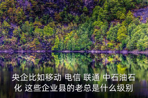 央企比如移動 電信 聯(lián)通 中石油石化 這些企業(yè)縣的老總是什么級別