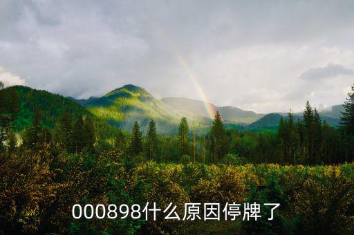 華資實(shí)業(yè)為什么停牌，000009今天為何停牌