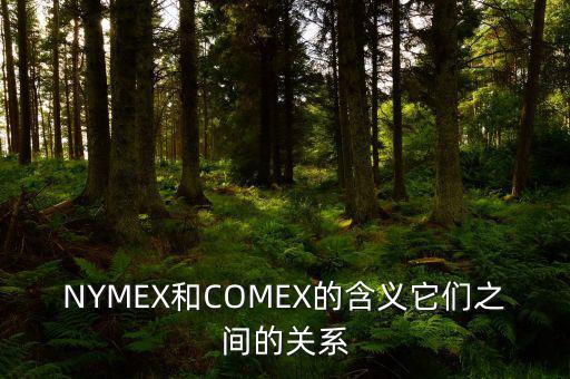 NYMEX和COMEX的含義它們之間的關系