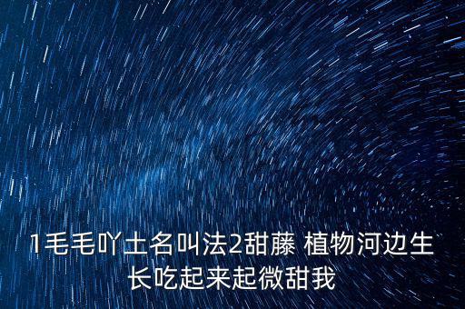 安徽有個(gè)什么林紙業(yè)，坐幾路公交車去安徽華泰林漿紙有限公司