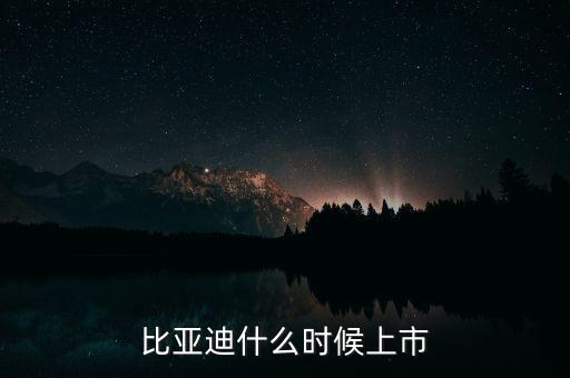 比亞迪什么時候上市