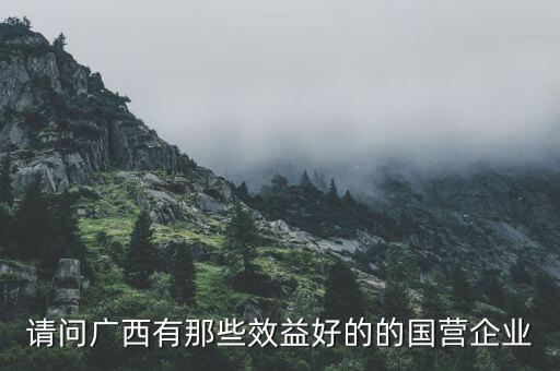 請(qǐng)問廣西有那些效益好的的國(guó)營(yíng)企業(yè)