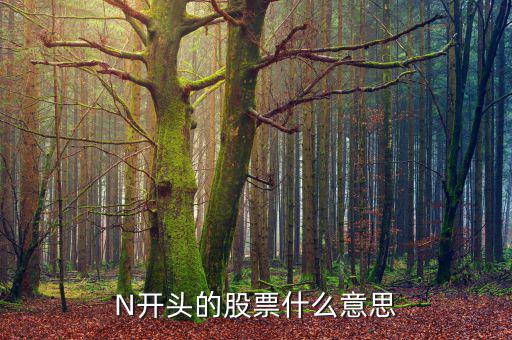 N開頭的股票什么意思