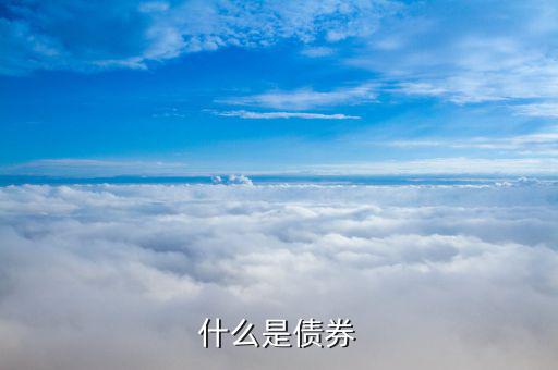 124977是什么債券，普通債和轉(zhuǎn)債有什么不同例126018與110971