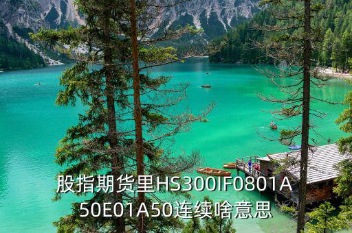 什么是hs300板塊，HS300是什么期貨合約