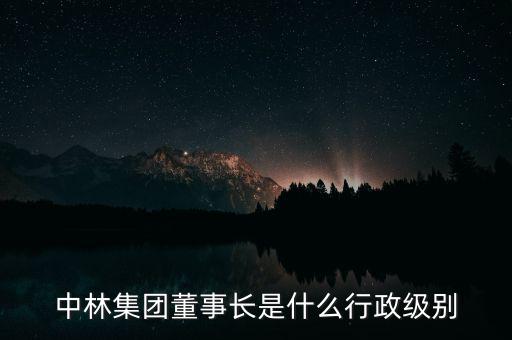 中林集團(tuán)董事長(zhǎng)是什么行政級(jí)別