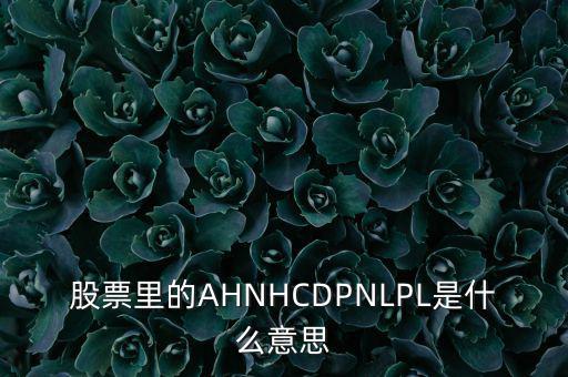 股票nl是什么意思，股票里的AHNHCDPNLPL是什么意思