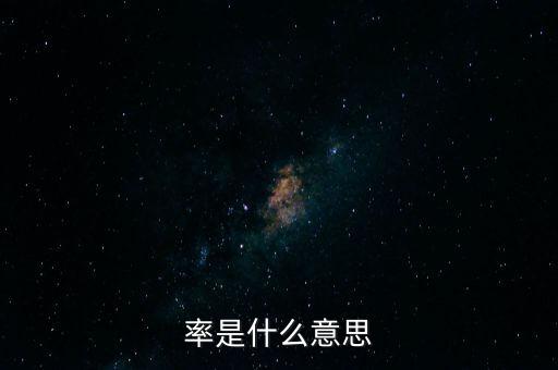 率是什么意思