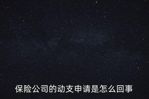 什么是動支申請，怎么樣支申請