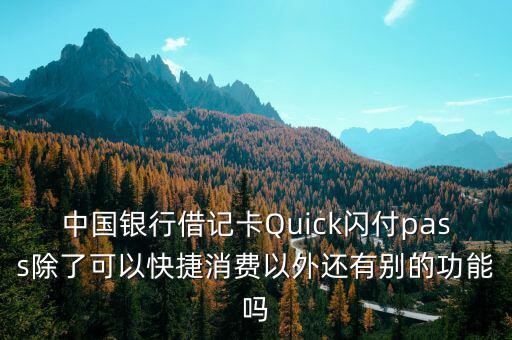 中國(guó)銀行借記卡Quick閃付pass除了可以快捷消費(fèi)以外還有別的功能嗎