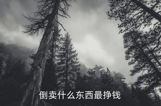 倒賣什么東西最掙錢