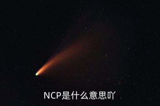 可比企業(yè)ncp是什么簡稱，NCP是什么意思吖