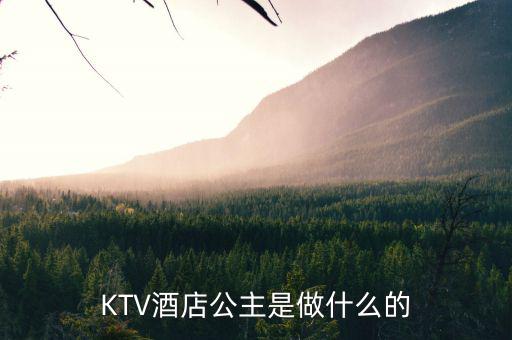 酒店出臺(tái)是干什么的，KTV酒店公主是做什么的