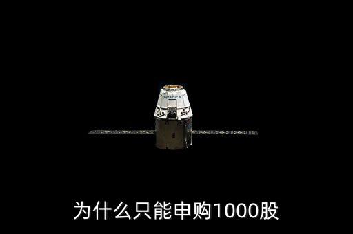 申購新股為什么只能申購1000股，為什么只能申購1000股