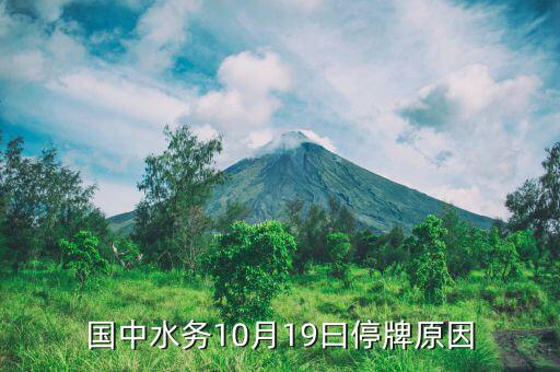 2015年10月江蘇索普為什么停牌，國中水務(wù)10月19曰停牌原因