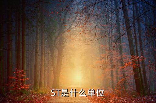 縮寫(xiě)st表示什么數(shù)量單位，ST是什么單位