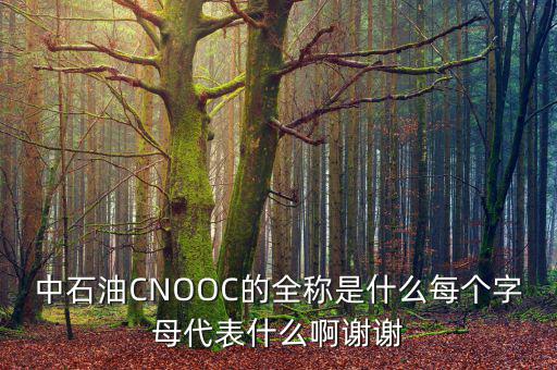 中石油CNOOC的全稱(chēng)是什么每個(gè)字母代表什么啊謝謝