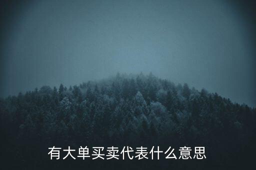 在買5成交有大單是什么意思，股票中大單是什么意思