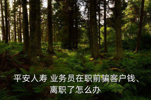  平安人壽 業(yè)務(wù)員在職前騙客戶錢、離職了怎么辦