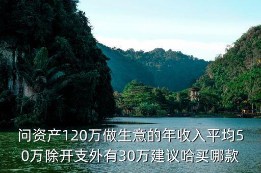 問資產120萬做生意的年收入平均50萬除開支外有30萬建議哈買哪款