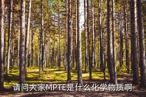 汽油的mpte是什么，汽油里MPTE是什么