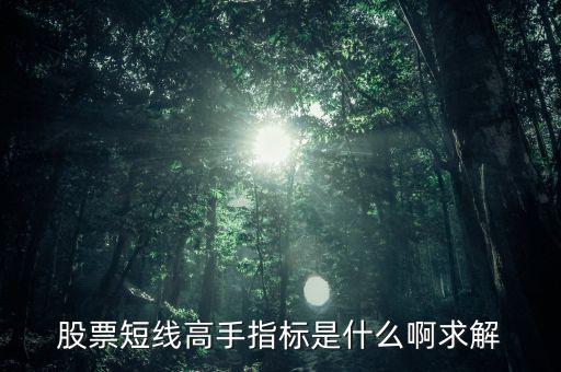 股票短線高手指標(biāo)是什么啊求解