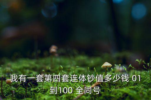 我有一套第四套連體鈔值多少錢(qián) 01到100 全同號(hào)